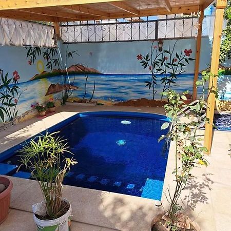Villa Louise Guest House Λούξορ Εξωτερικό φωτογραφία
