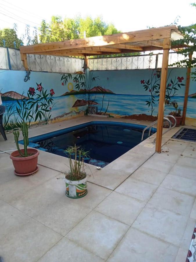 Villa Louise Guest House Λούξορ Εξωτερικό φωτογραφία
