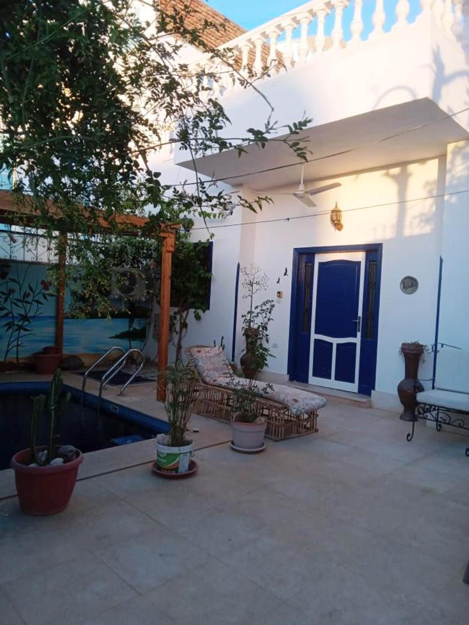 Villa Louise Guest House Λούξορ Εξωτερικό φωτογραφία