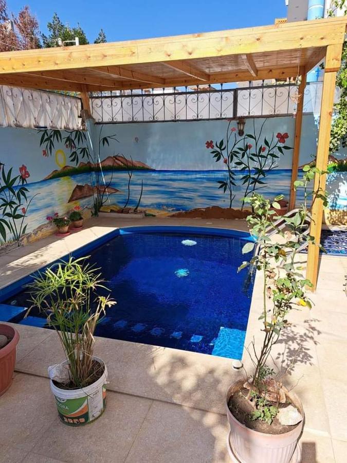 Villa Louise Guest House Λούξορ Εξωτερικό φωτογραφία