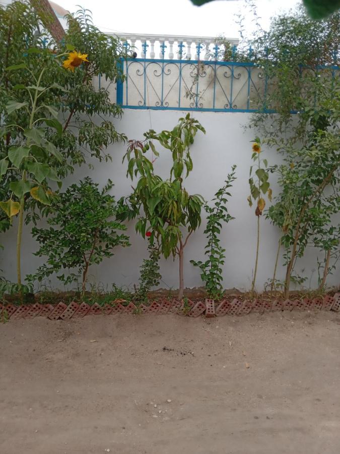 Villa Louise Guest House Λούξορ Εξωτερικό φωτογραφία